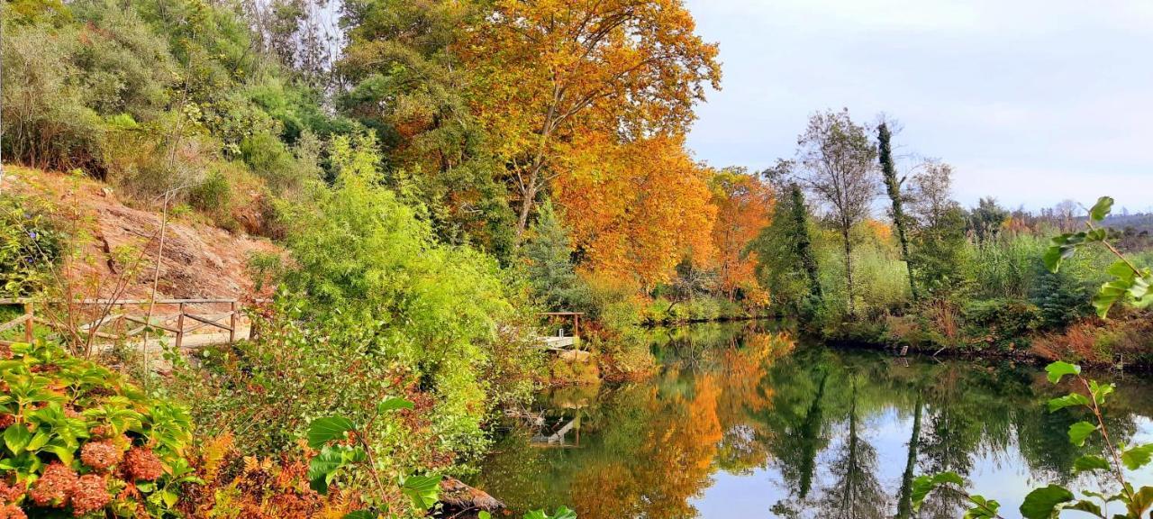 Adore Portugal Bungalow Natureza & Vista De Serra โลซา ภายนอก รูปภาพ