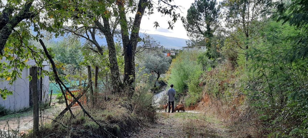 Adore Portugal Bungalow Natureza & Vista De Serra โลซา ภายนอก รูปภาพ