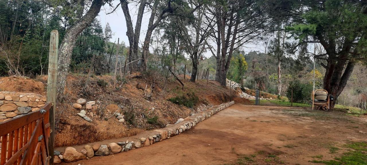 Adore Portugal Bungalow Natureza & Vista De Serra โลซา ภายนอก รูปภาพ